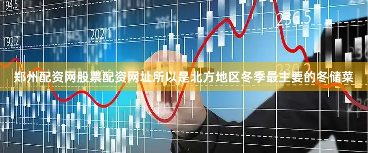 郑州配资网股票配资网址所以是北方地区冬季最主要的冬储菜