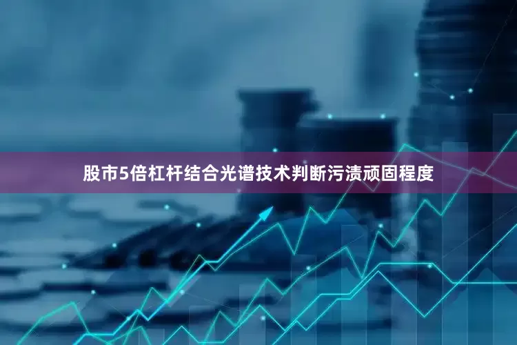 股市5倍杠杆结合光谱技术判断污渍顽固程度