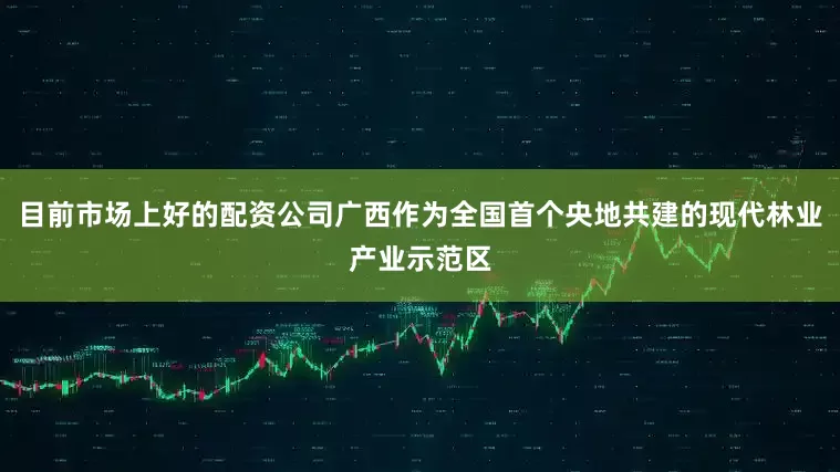 目前市场上好的配资公司广西作为全国首个央地共建的现代林业产业示范区