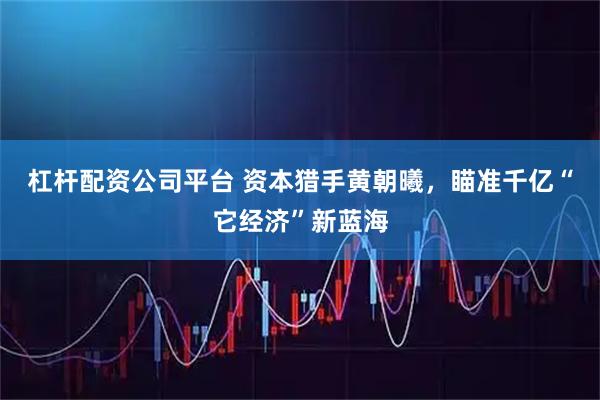 杠杆配资公司平台 资本猎手黄朝曦，瞄准千亿“它经济”新蓝海